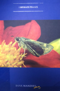 Image of Corporate Finance