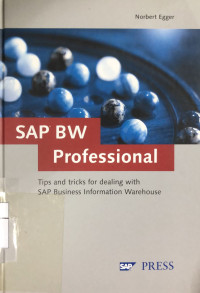 Image of SAP BW Professional